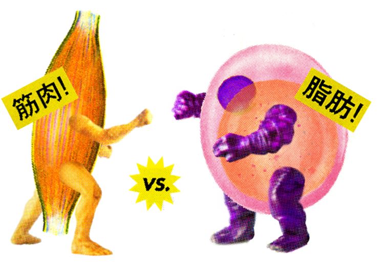 肥胖與自律神經失調
